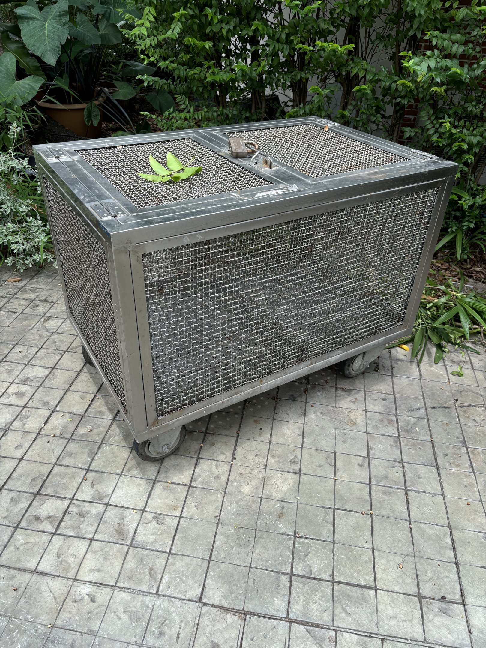 Snake Transport Cage