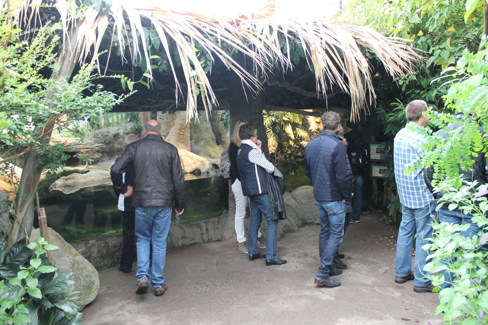 Snake - Turtle Enclosures