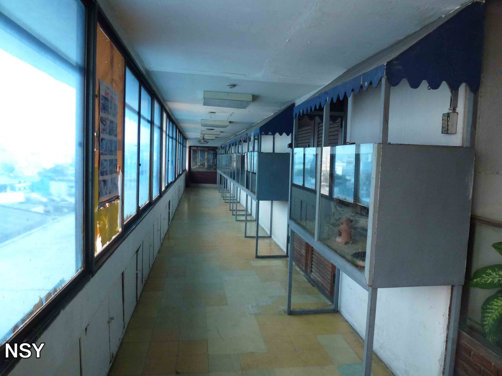 Snake vivaria, June 2013.