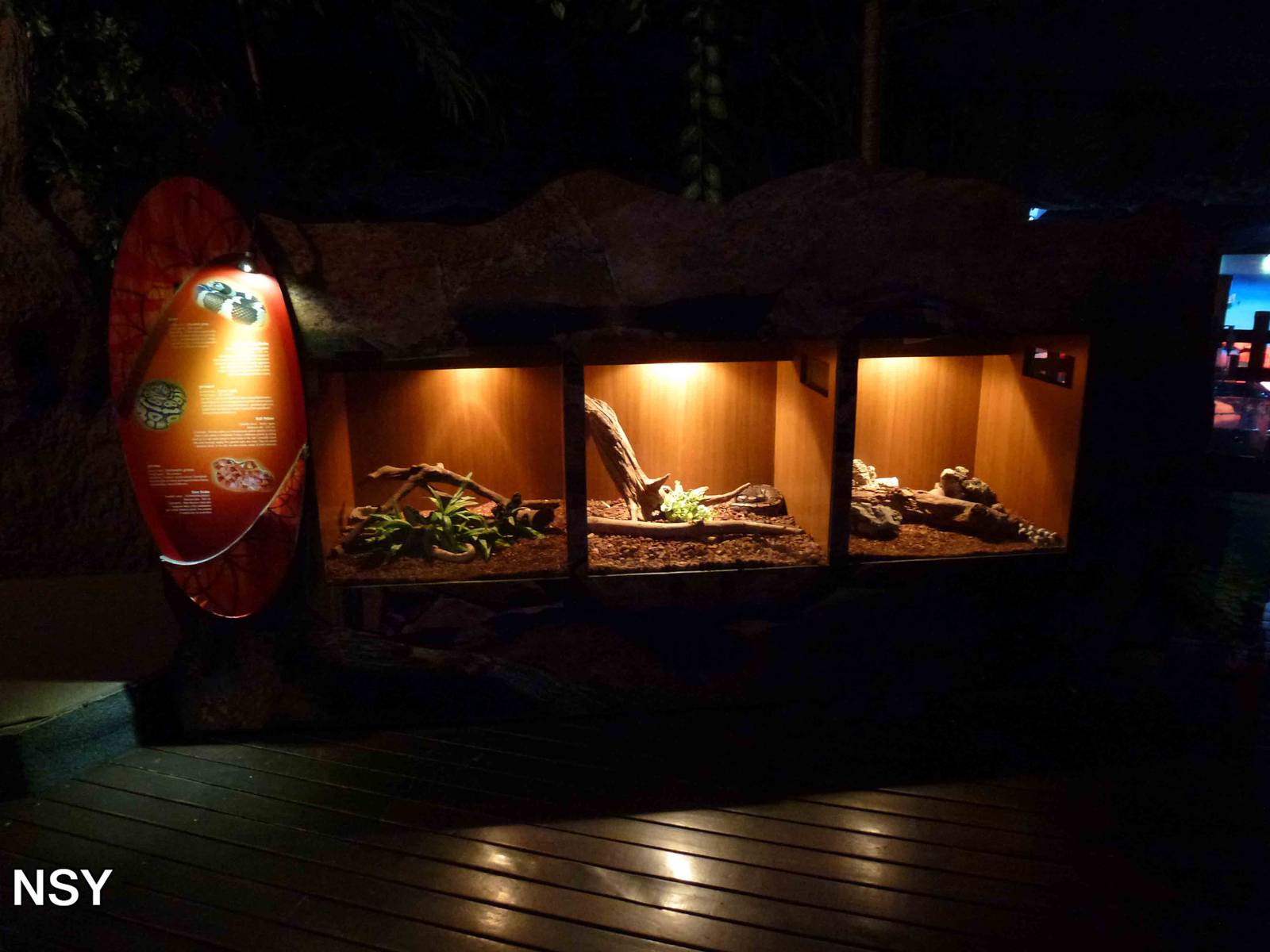 Snake vivaria, June 2013.