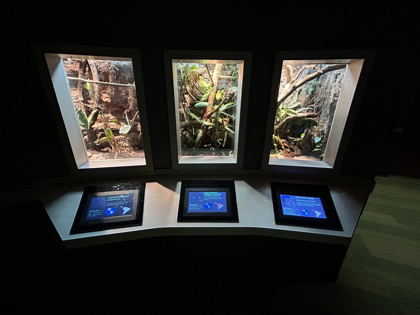 Snake Vivaria  - Unseen New World