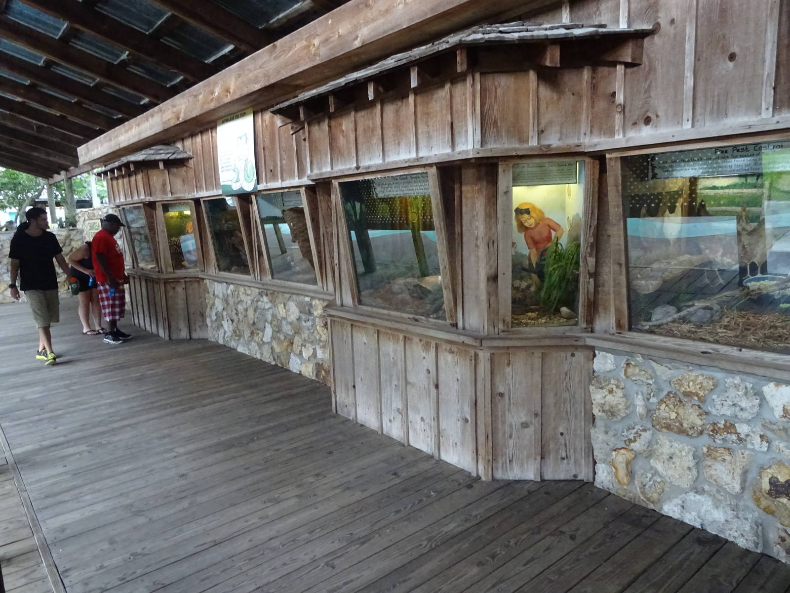 Snakes of Florida at Gatorland