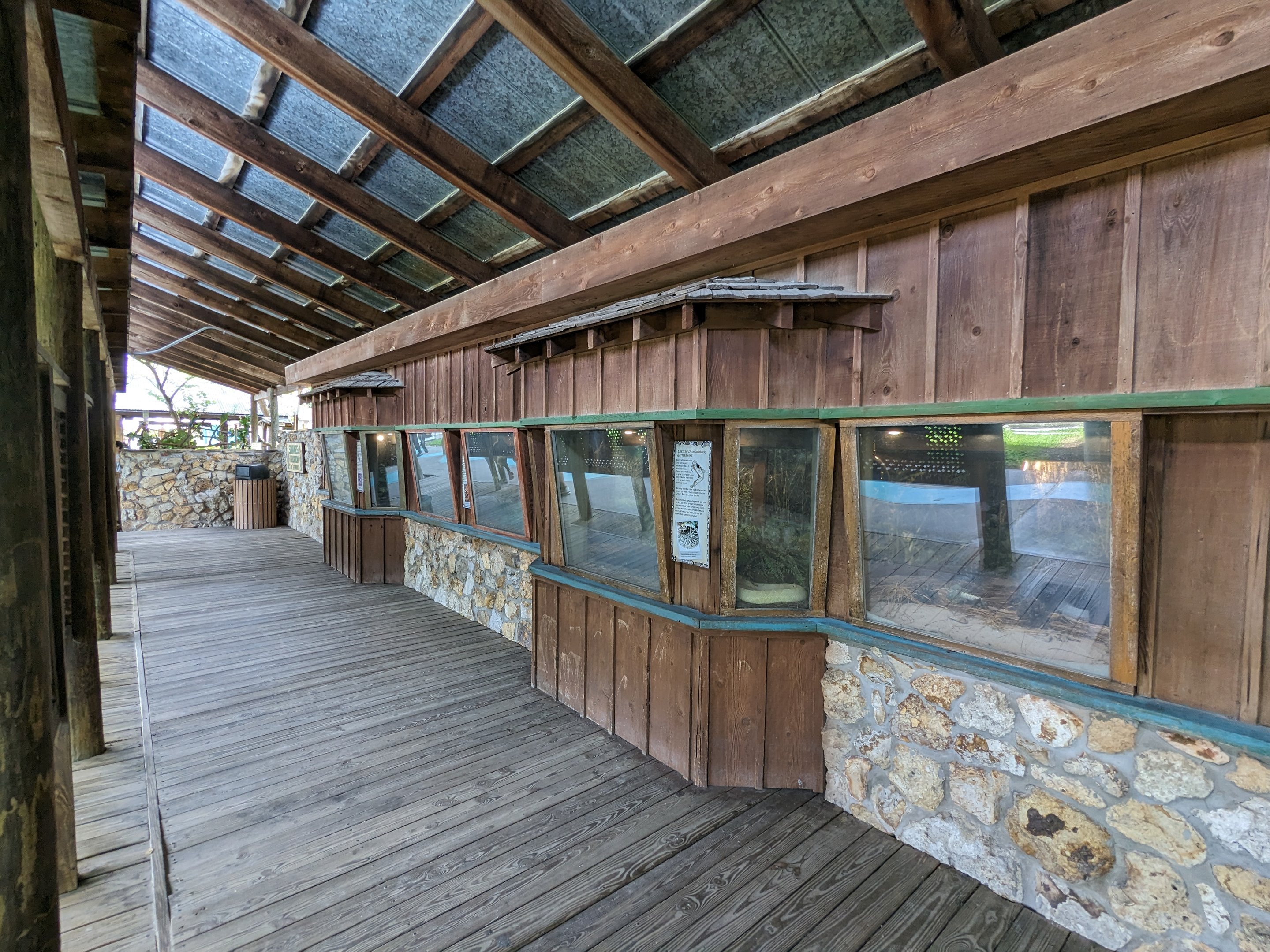 Snakes of Florida gallery