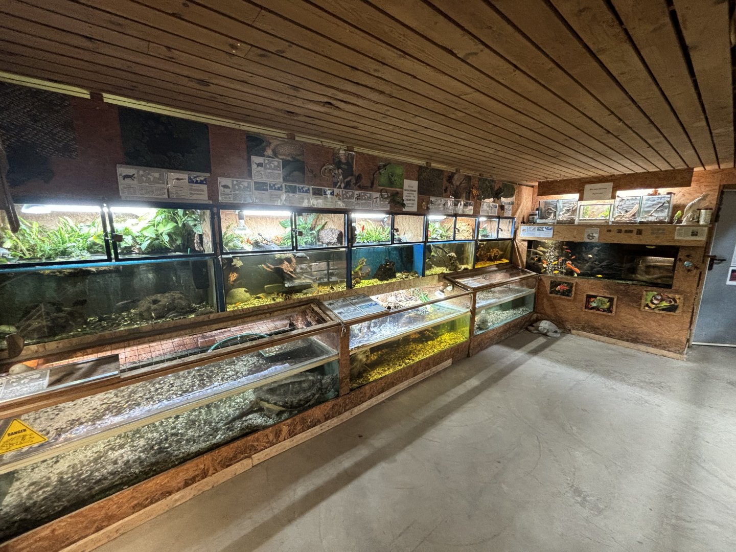 Snapper Hall Schildkröten und Reptilien Zoo Neu-Ulm