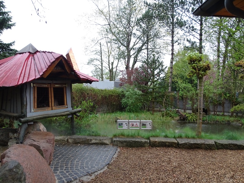 Snapping turtle enclosure and raccoon indoor enclosure