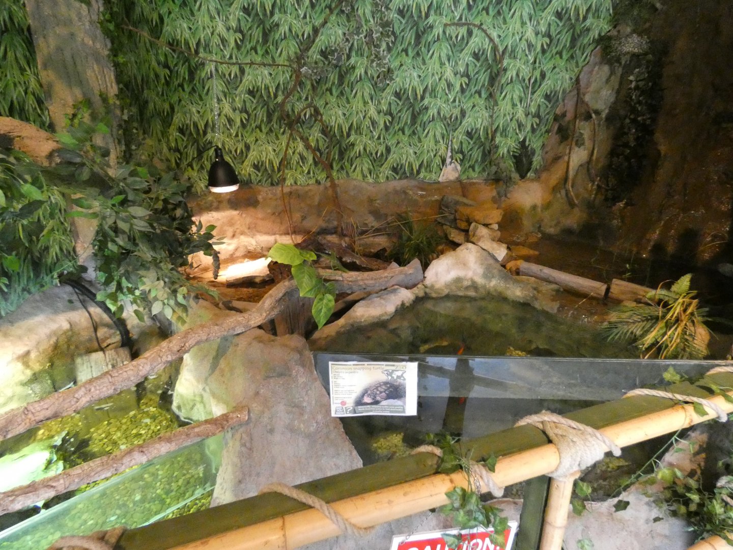 Snapping turtle enclosure