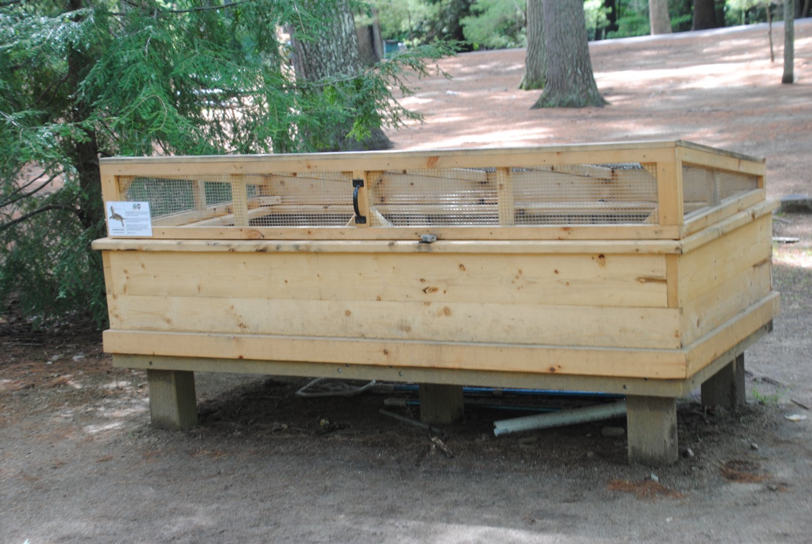 Snapping Turtle exhibit