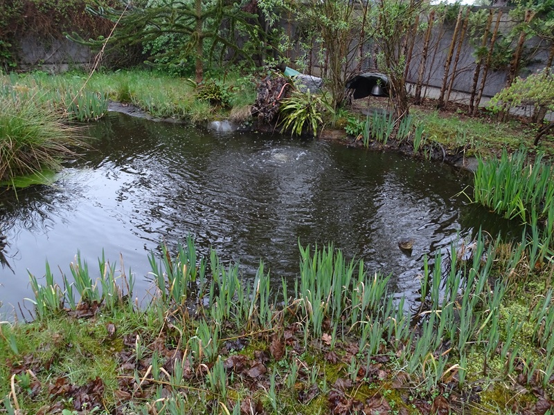 Snapping turtle / yellow-bellied slider enclosure