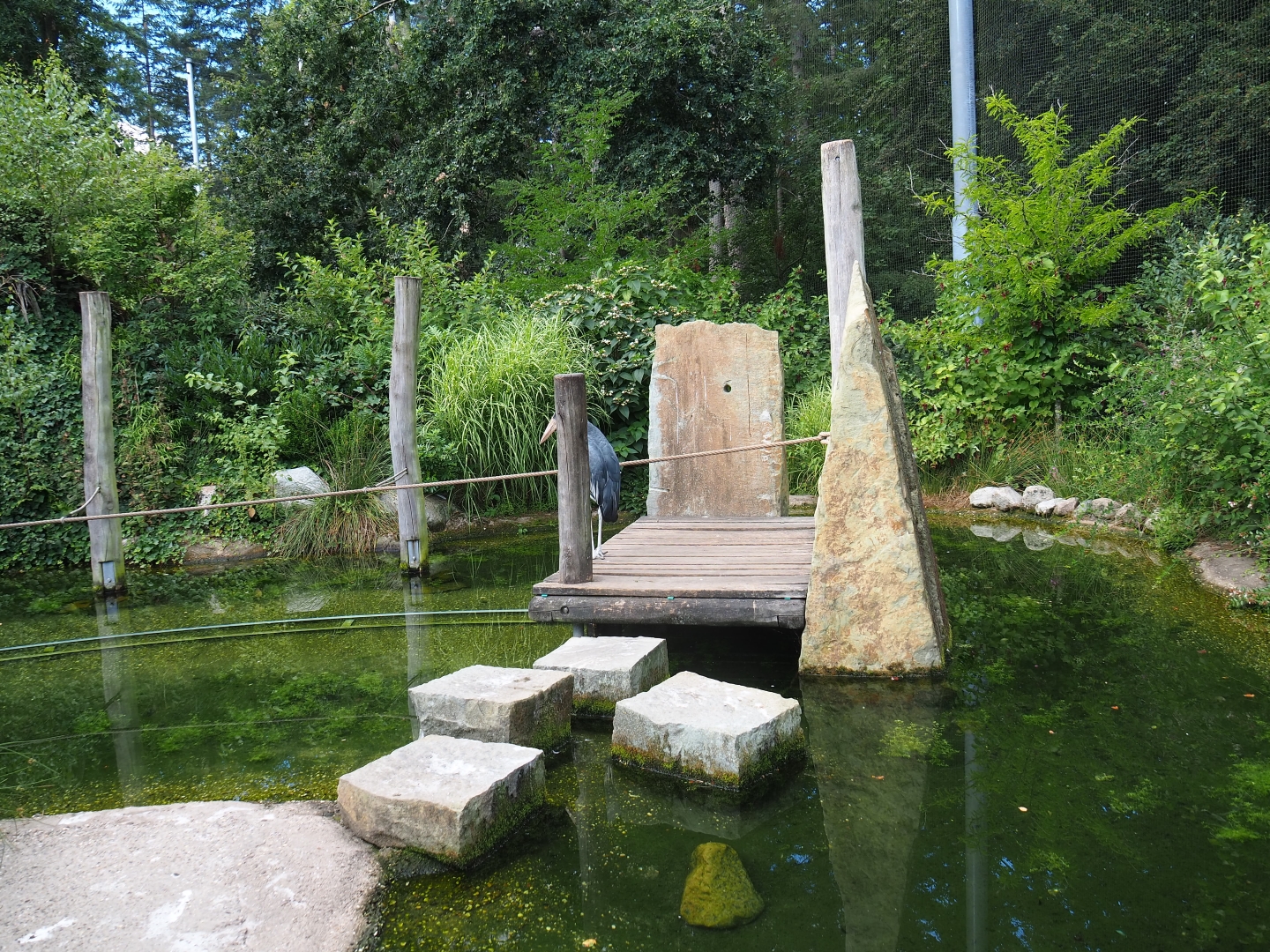 SnavelRijk Aviary adventure route (with a marabou on the platform)