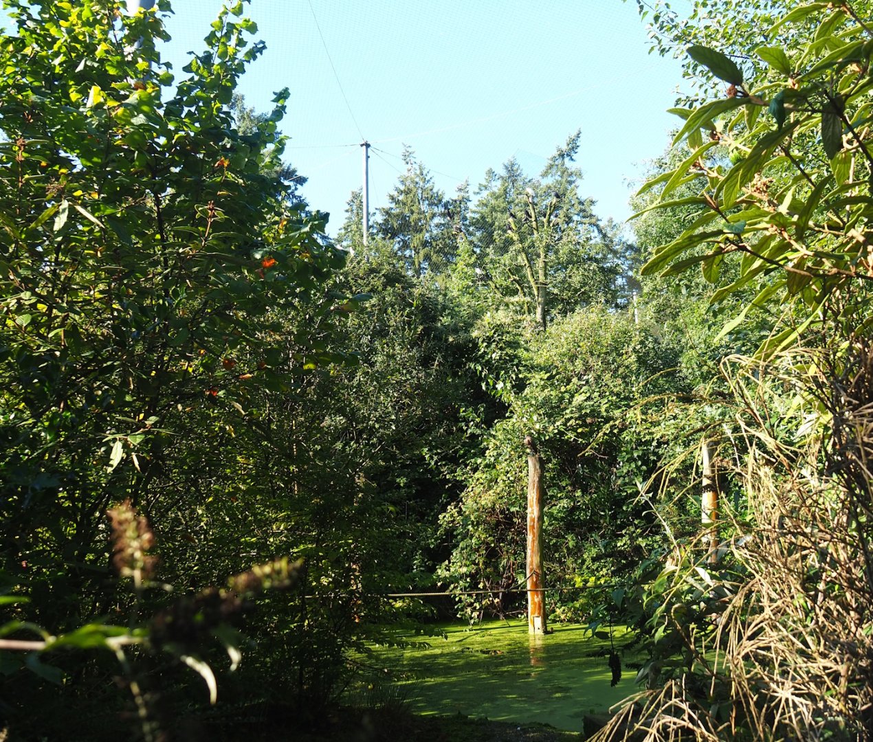 Snavelrijk ('Kingdom of Beaks') aviary, 2023-09-24