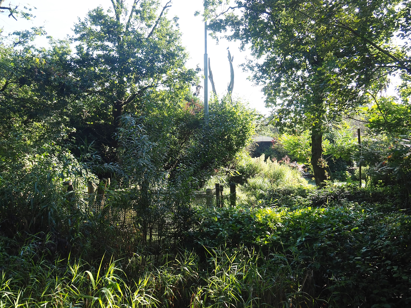 Snavelrijk ('Kingdom of Beaks') aviary, 2023-09-24