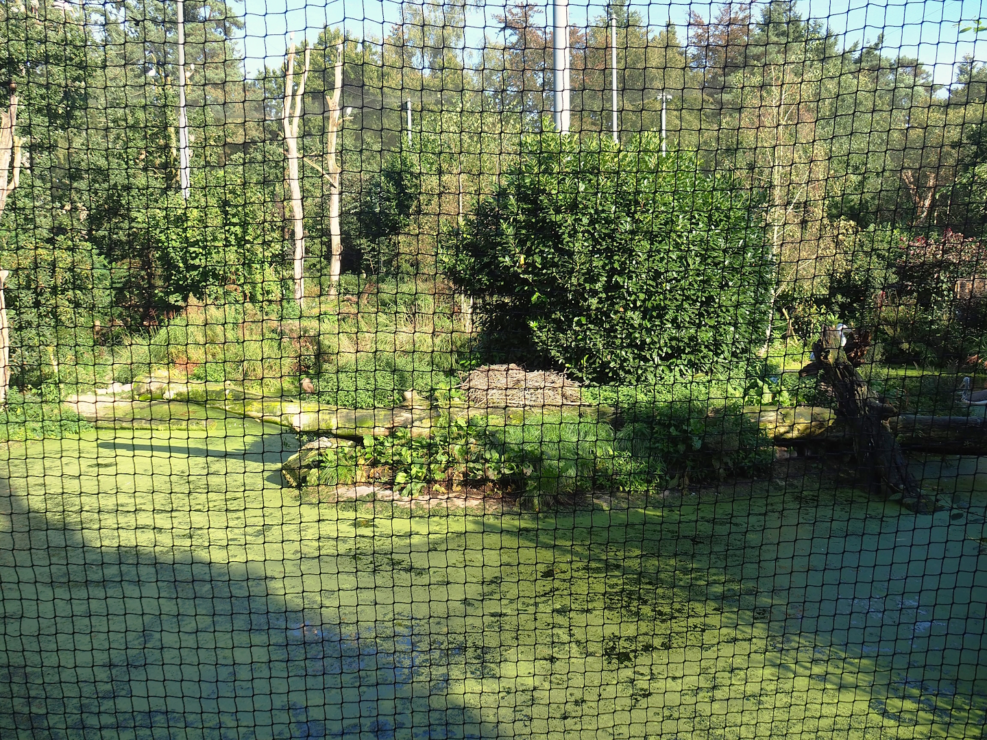 Snavelrijk ('Kingdom of Beaks') aviary, 2023-09-24