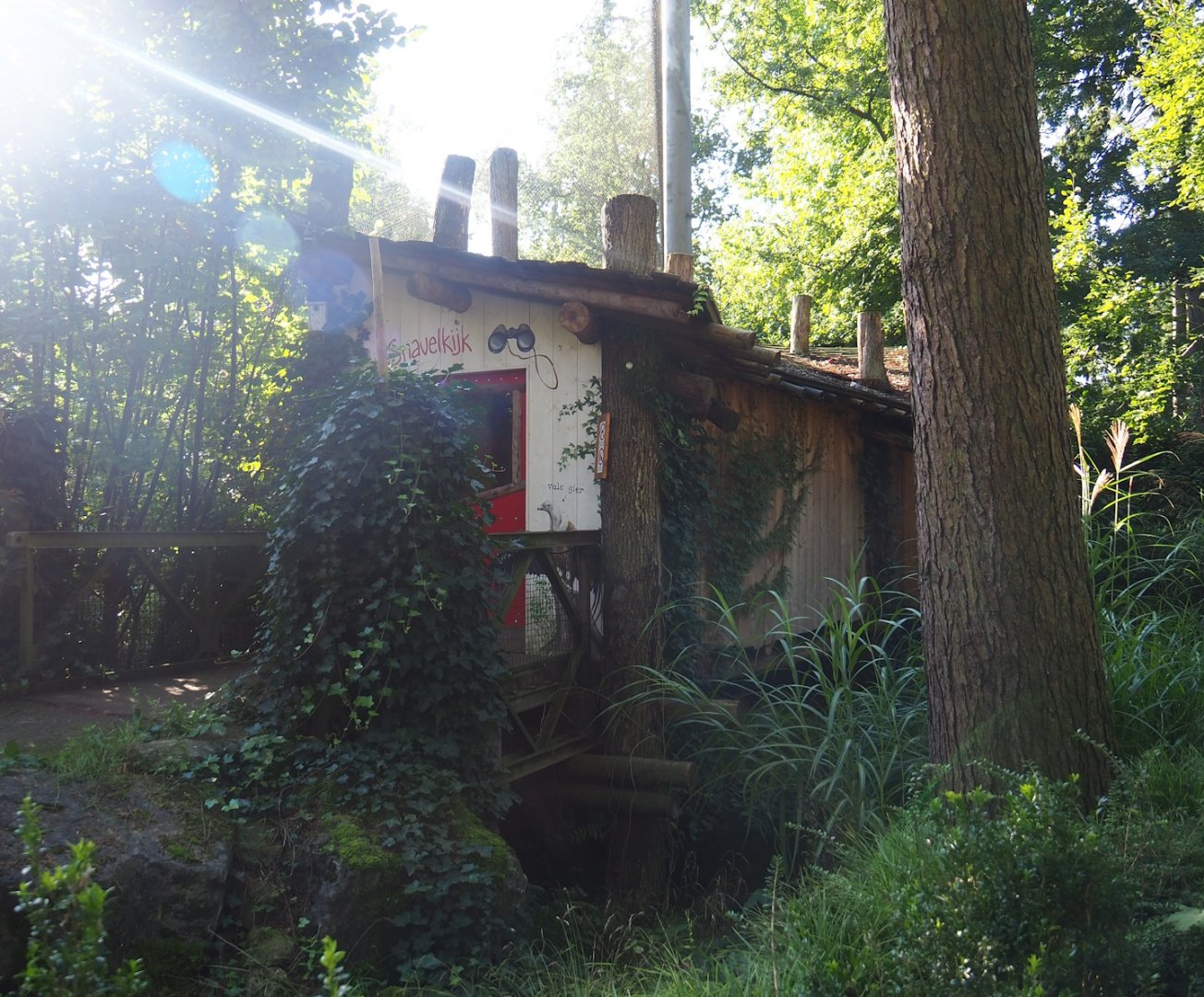Snavelrijk ('Kingdom of Beaks') aviary viewing hut, 2023-09-24