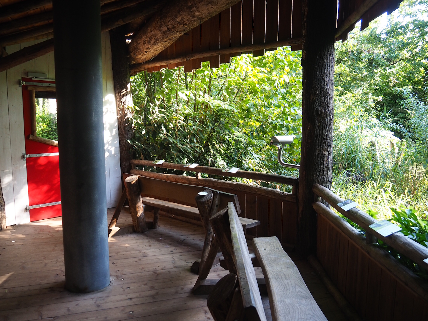 Snavelrijk ('Kingdom of Beaks') aviary viewing hut, 2023-09-24