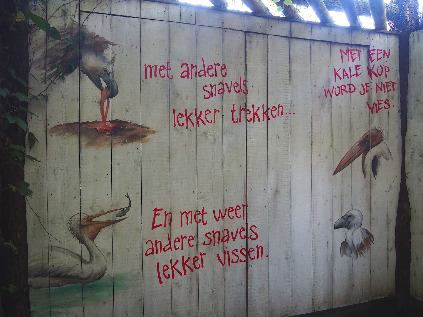 Snavelrijk ('Kingdom of Beaks') educational mural about bird beaks, 2023-09-24