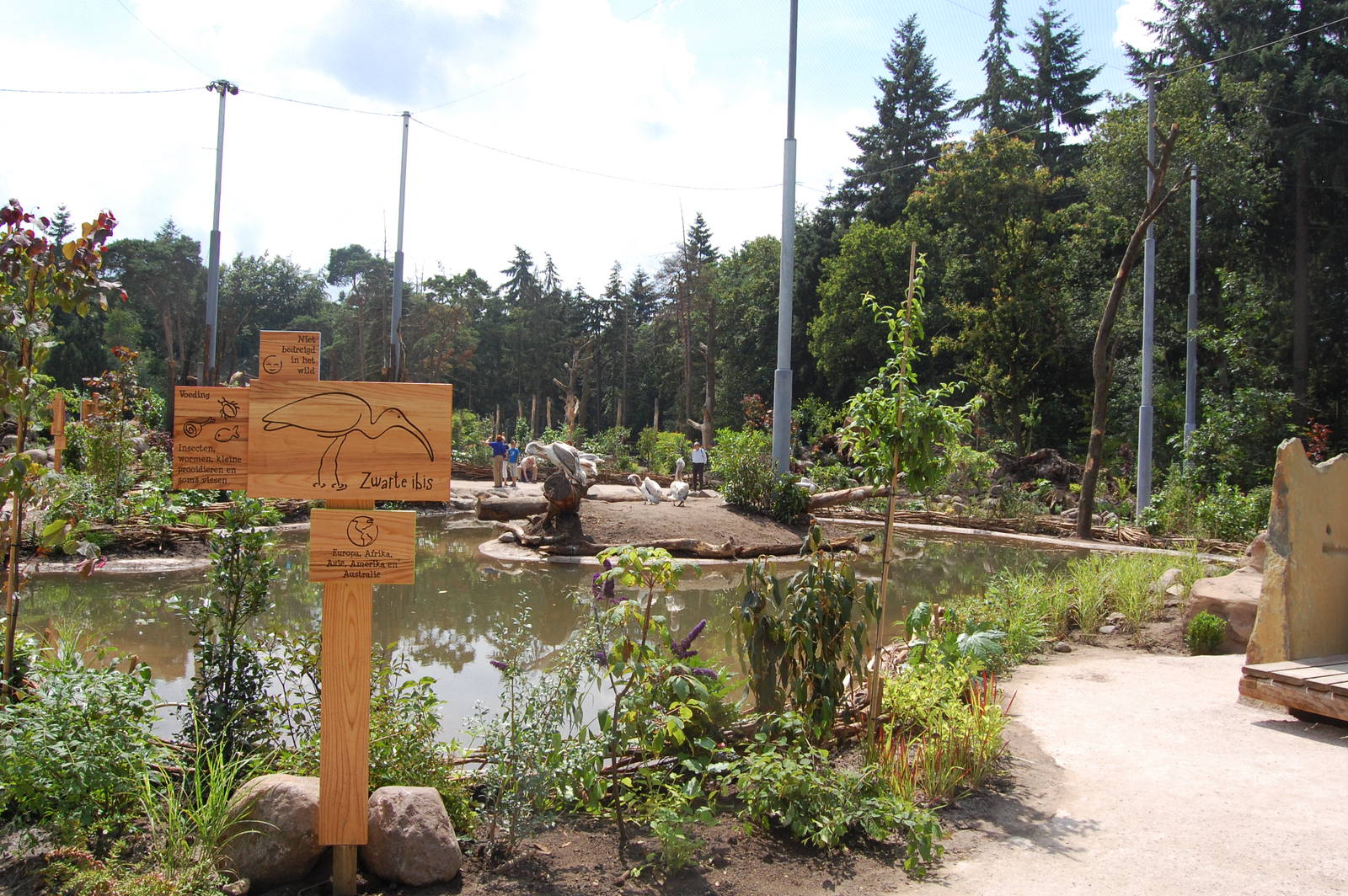 Snavelrijk - new 2014