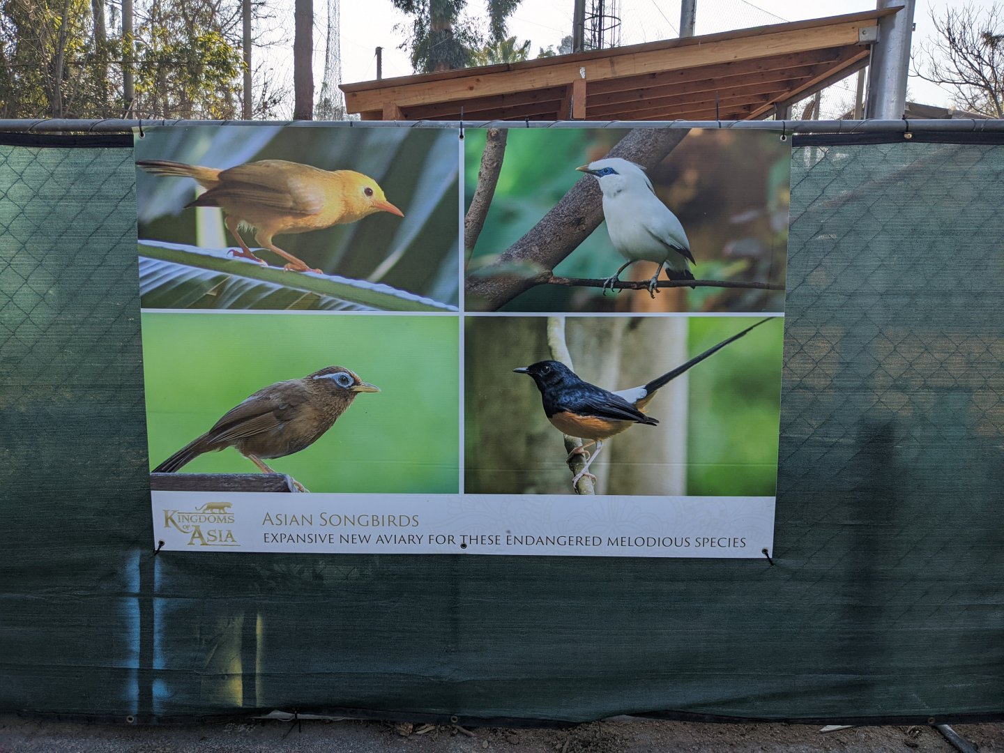 Sneak Peek Banner of Birds Going to be Featured in Kingdoms of Asia Songbird Aviary