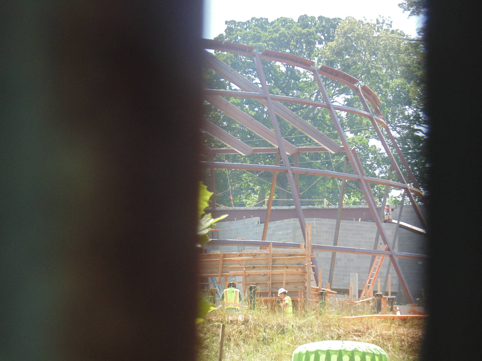 Sneak Peek of new reptile/amphibian building