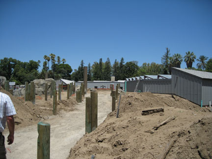 sneak peek - Sea Lion Cove