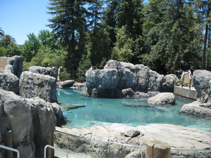 sneak peek - Sea Lion Cove