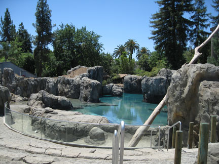 sneak peek - Sea Lion Cove