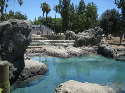 sneak peek - Sea Lion Cove