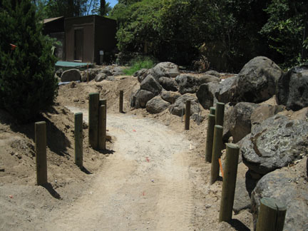 sneak peek - Sea Lion Cove