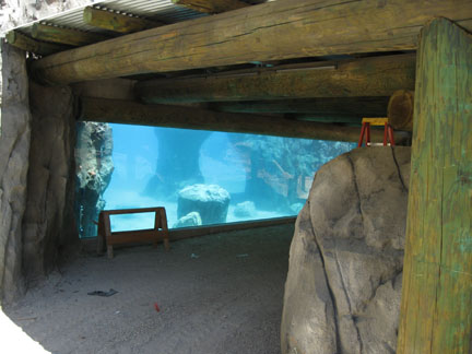 sneak peek - Sea Lion Cove