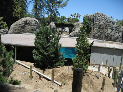 sneak peek - Sea Lion Cove