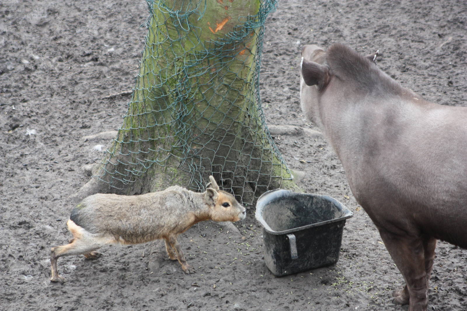 Sneaking in, 18th February 2015