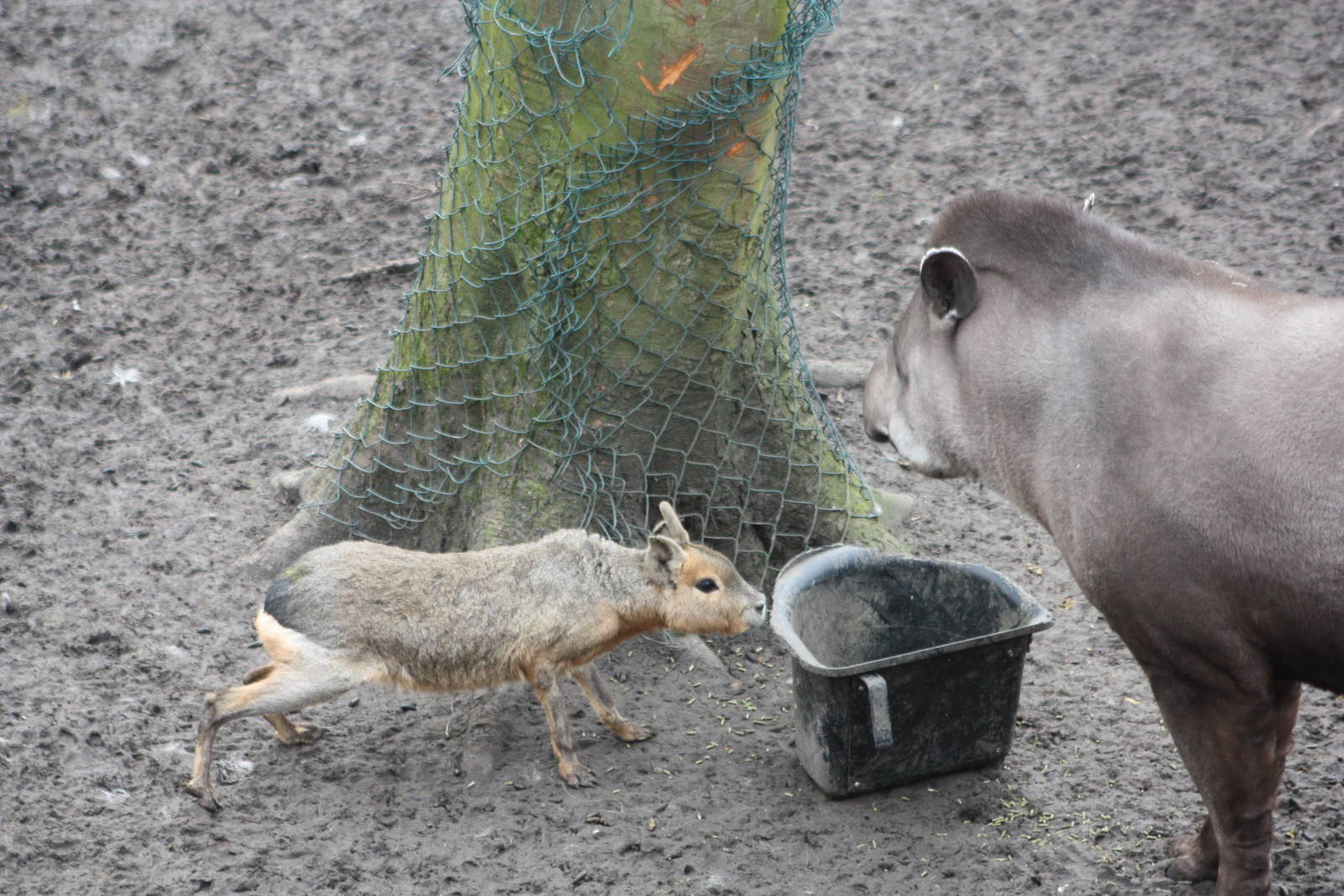 Sneaking in, 18th February 2015