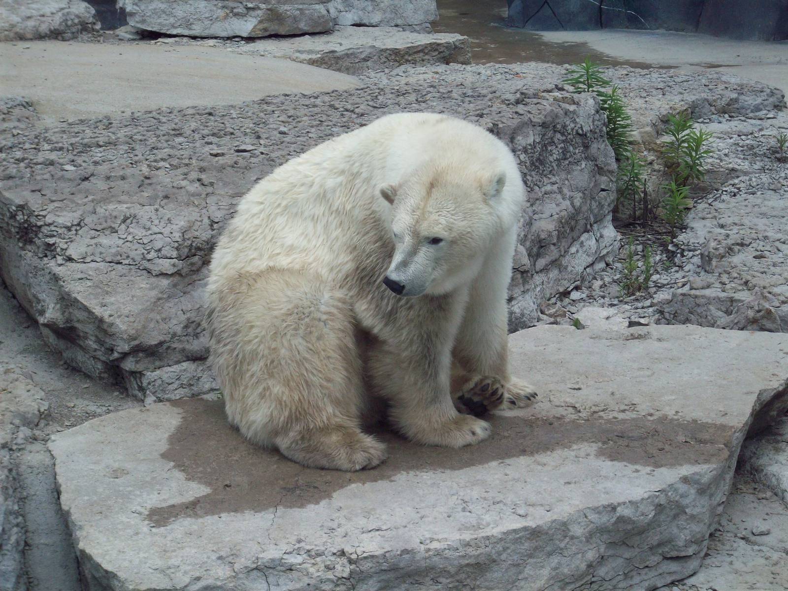 *Sniff* Lunch is on the way.