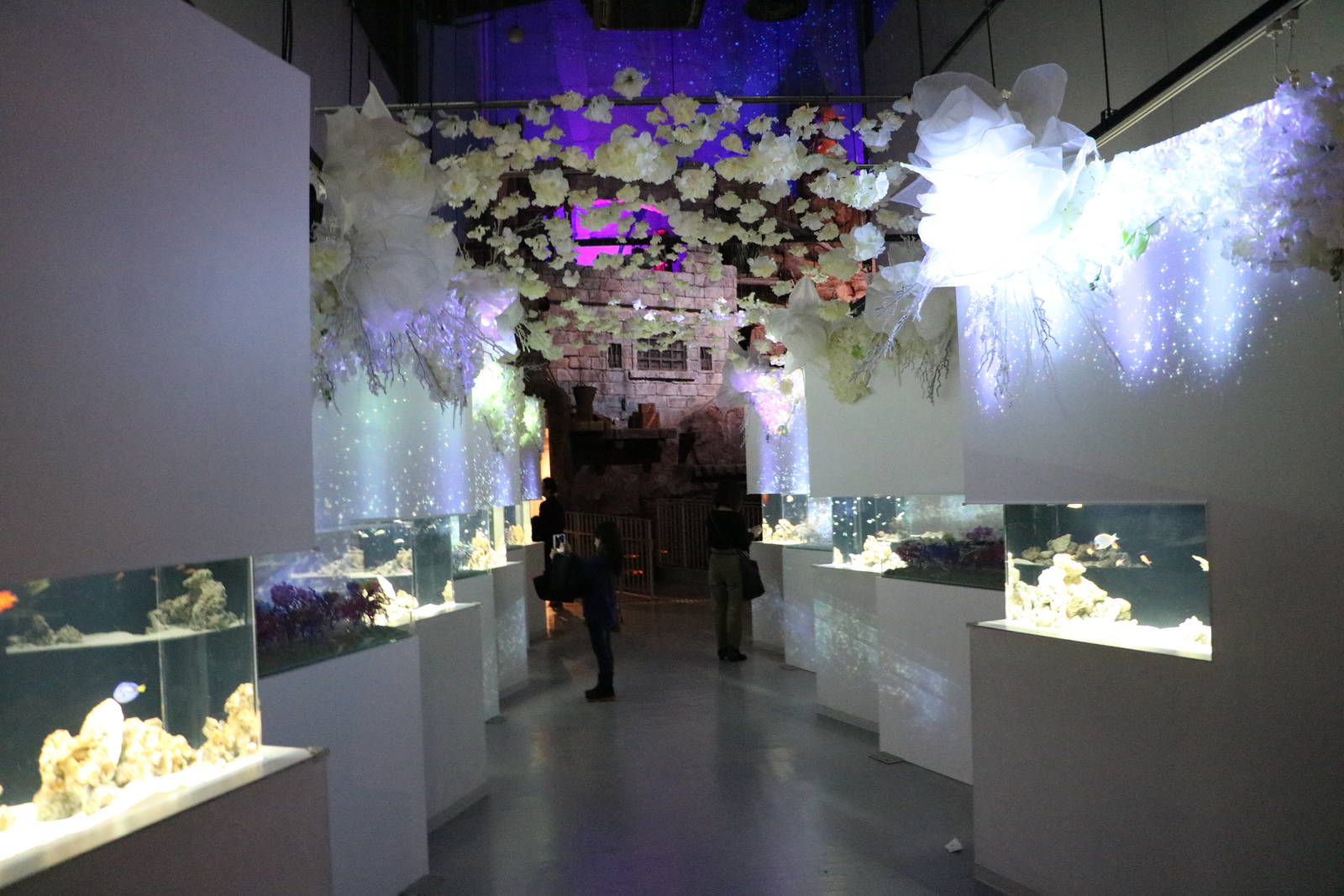 Snow aquarium by naked- EPSON Aqua Park, February 2016