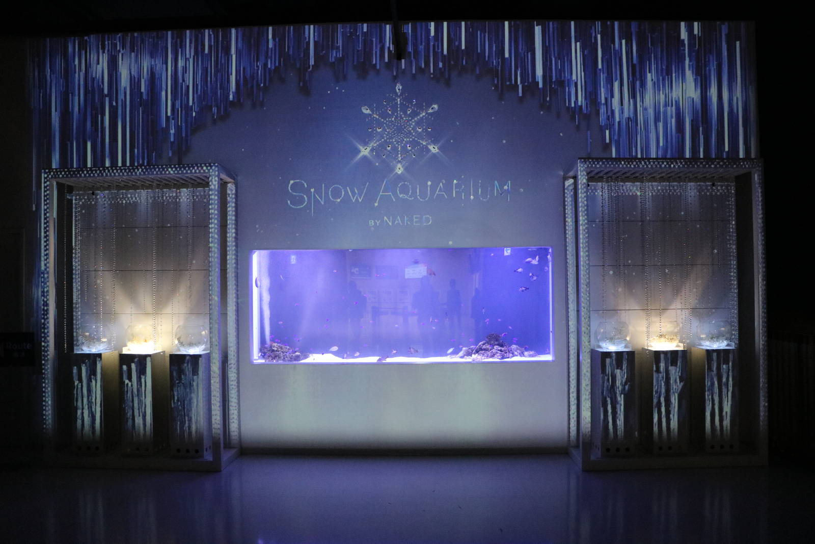 Snow aquarium - EPSON Aqua Park, February 2016
