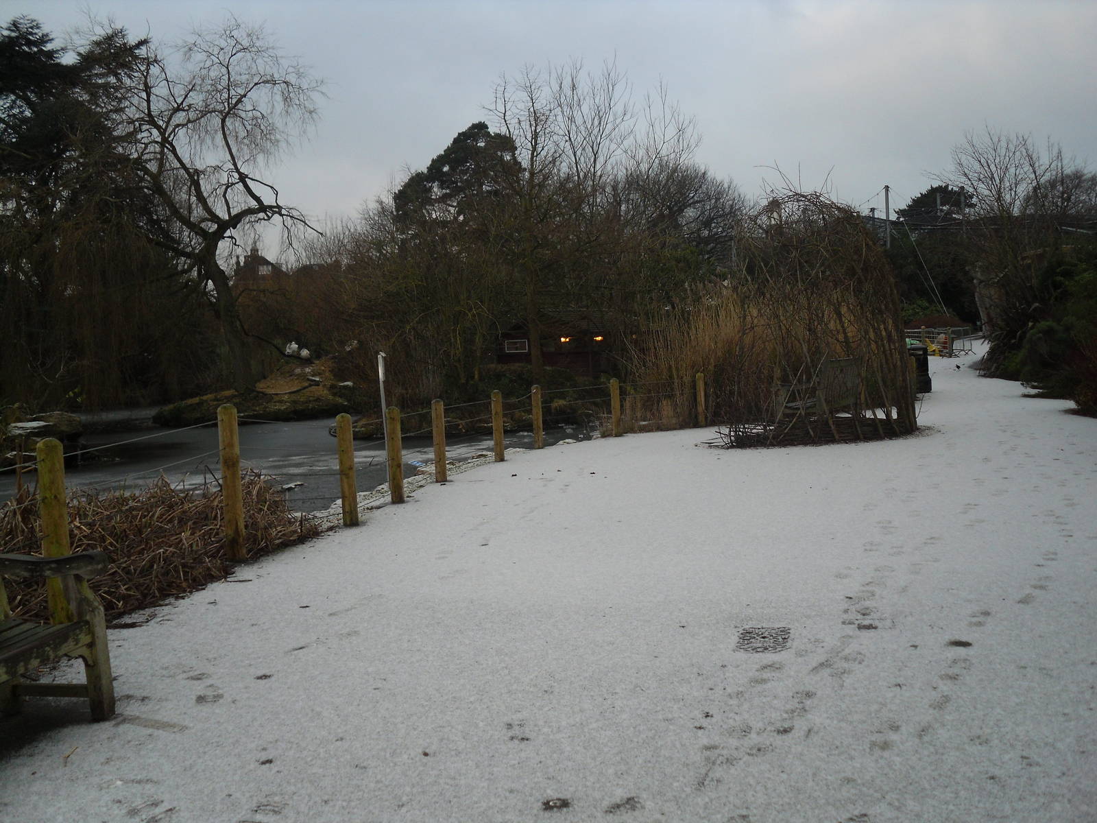 Snow by the lake early 2009