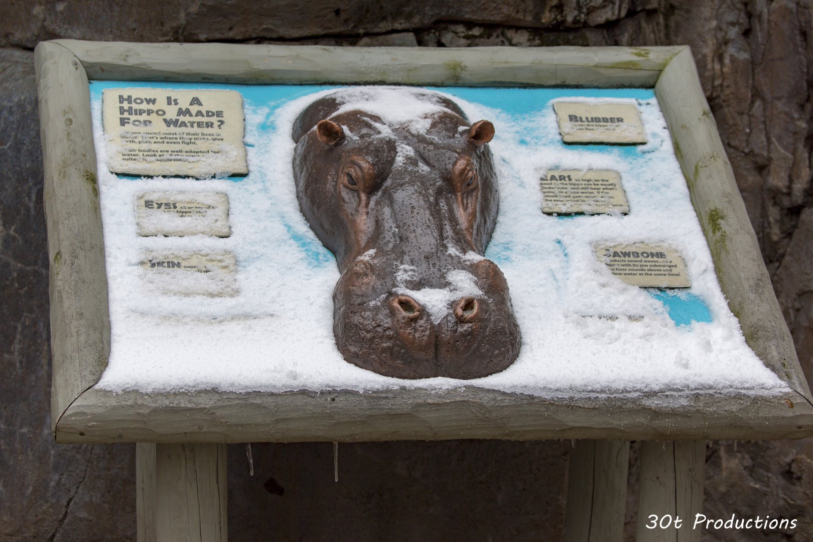 Snow covered hippo sign