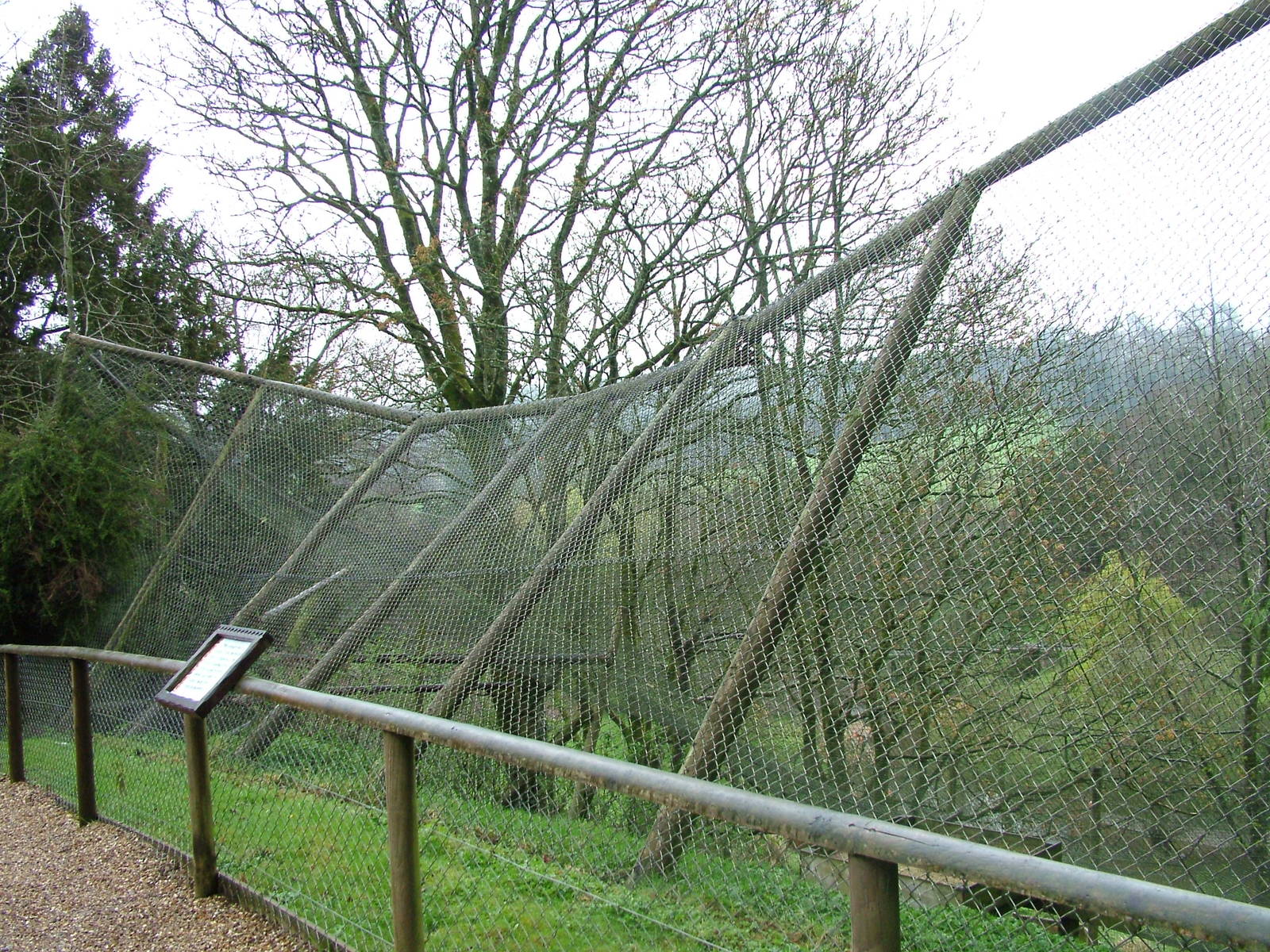 Snow-damaged aviary at Cricket St Thomas 10/04/09