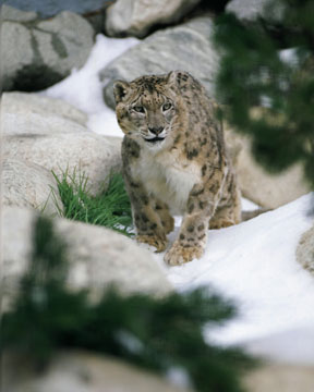 snow day - March 14, 2009