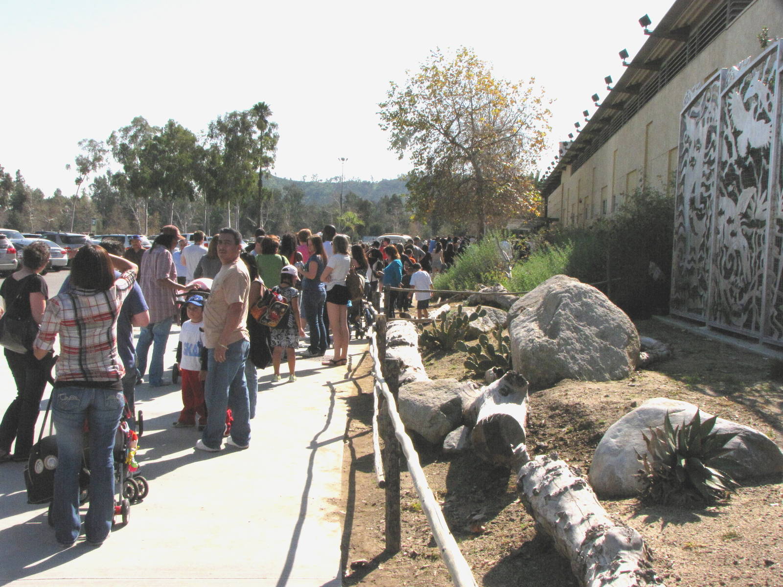 Snow Days: Day 2 Feb. 14, 2010