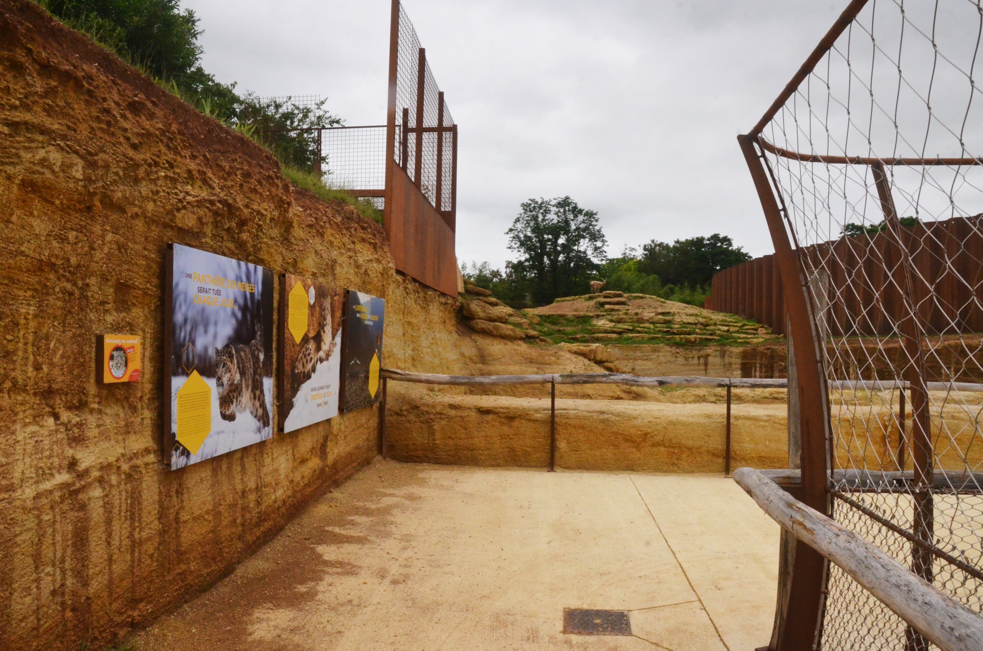 Snow Leopard and Markhor Upper Viewing Areas at Doué-la-Fontaine, 15/06/18