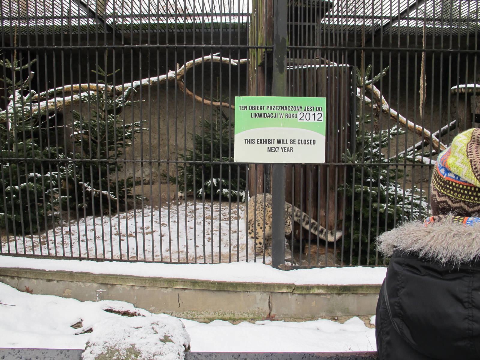 Snow Leopard Cage, January 2012.