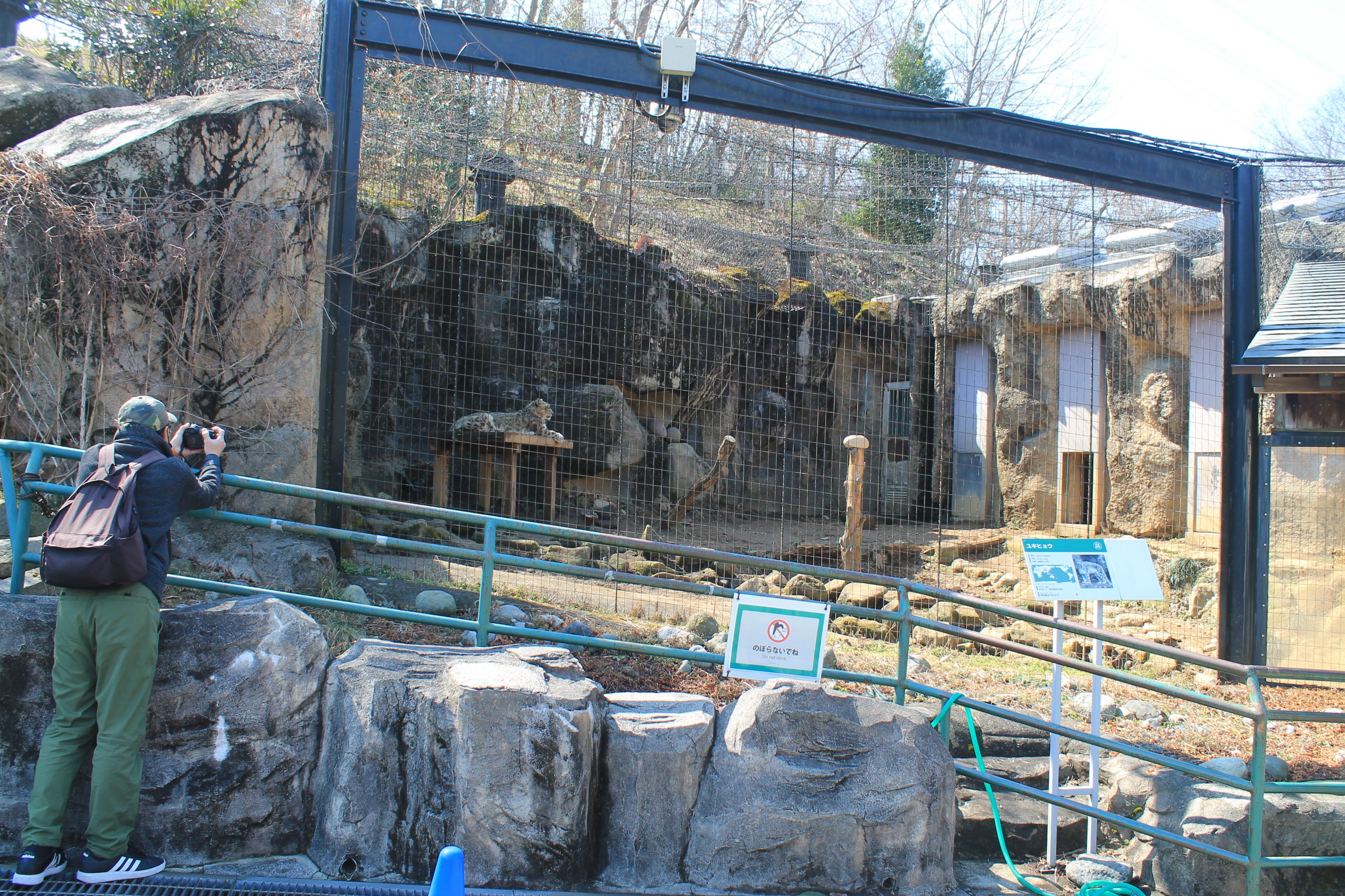Snow Leopard cage