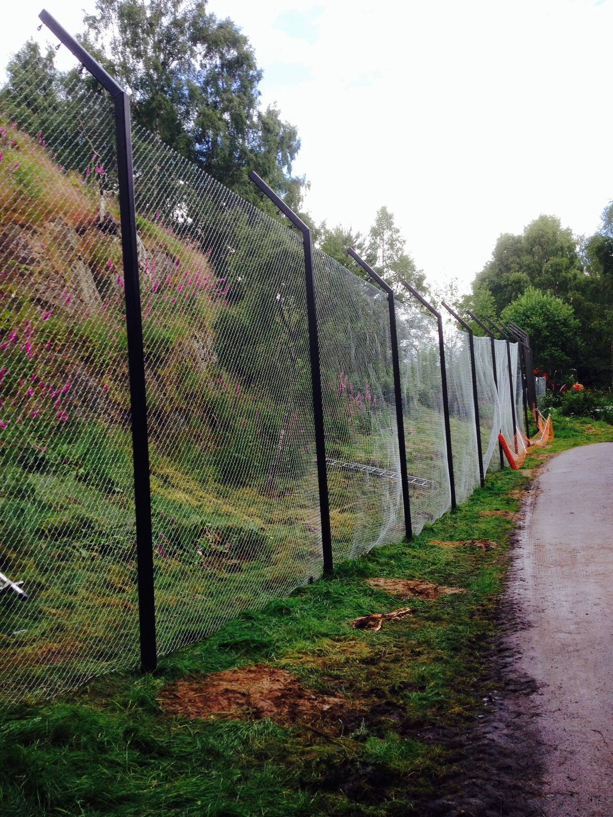 Snow leopard cliff face enclosure works