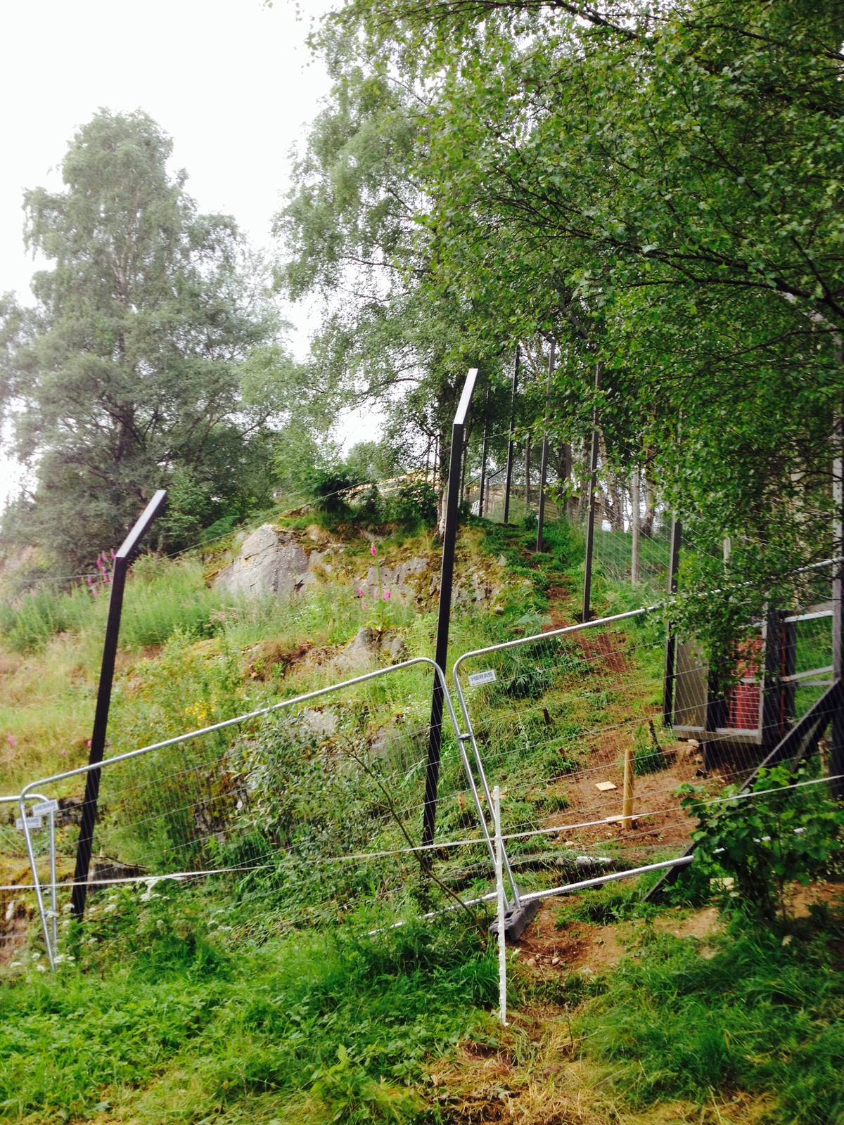 Snow leopard cliff face enclosure works