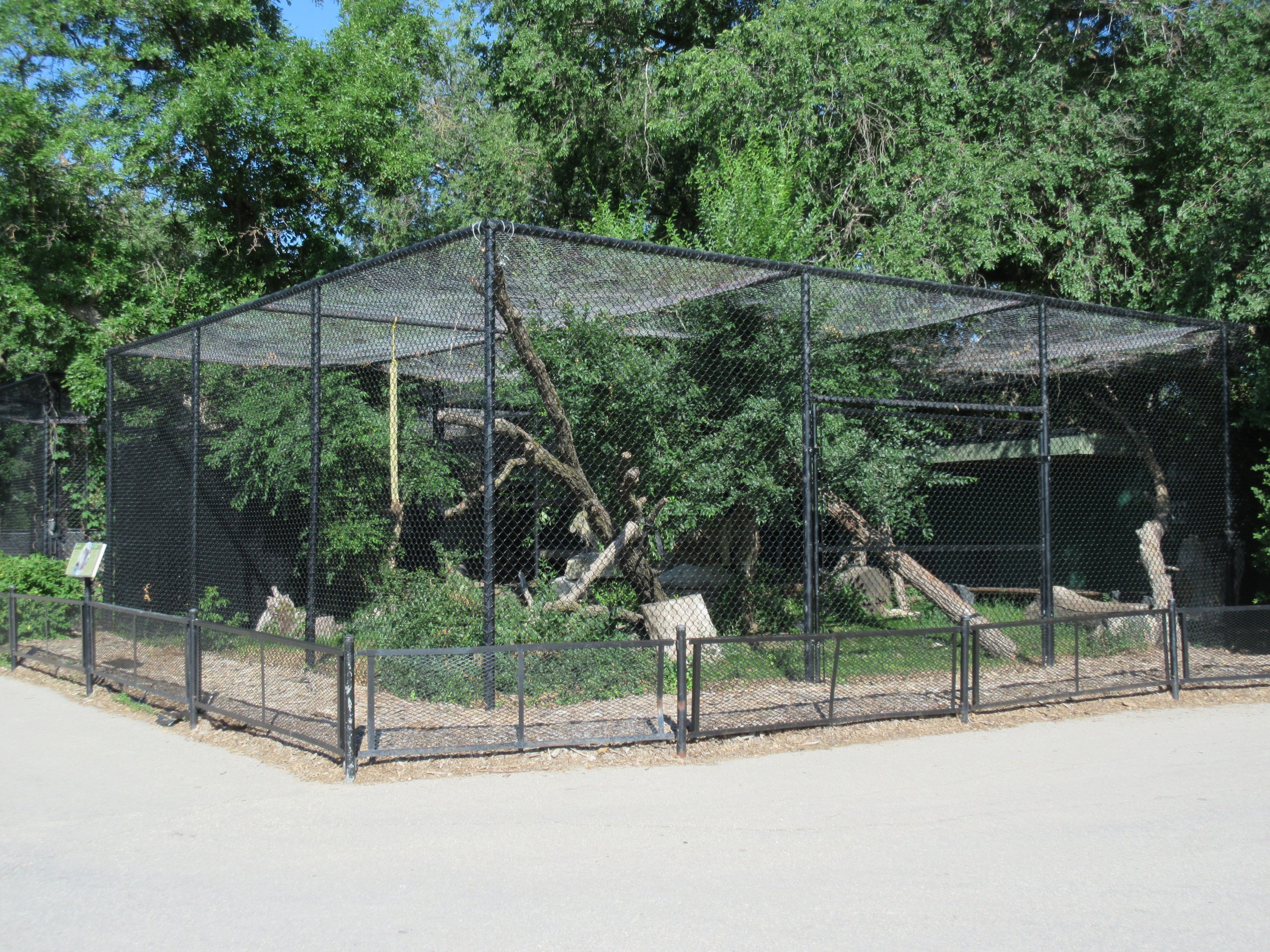 Snow Leopard Complex (a set of 3 exhibits)
