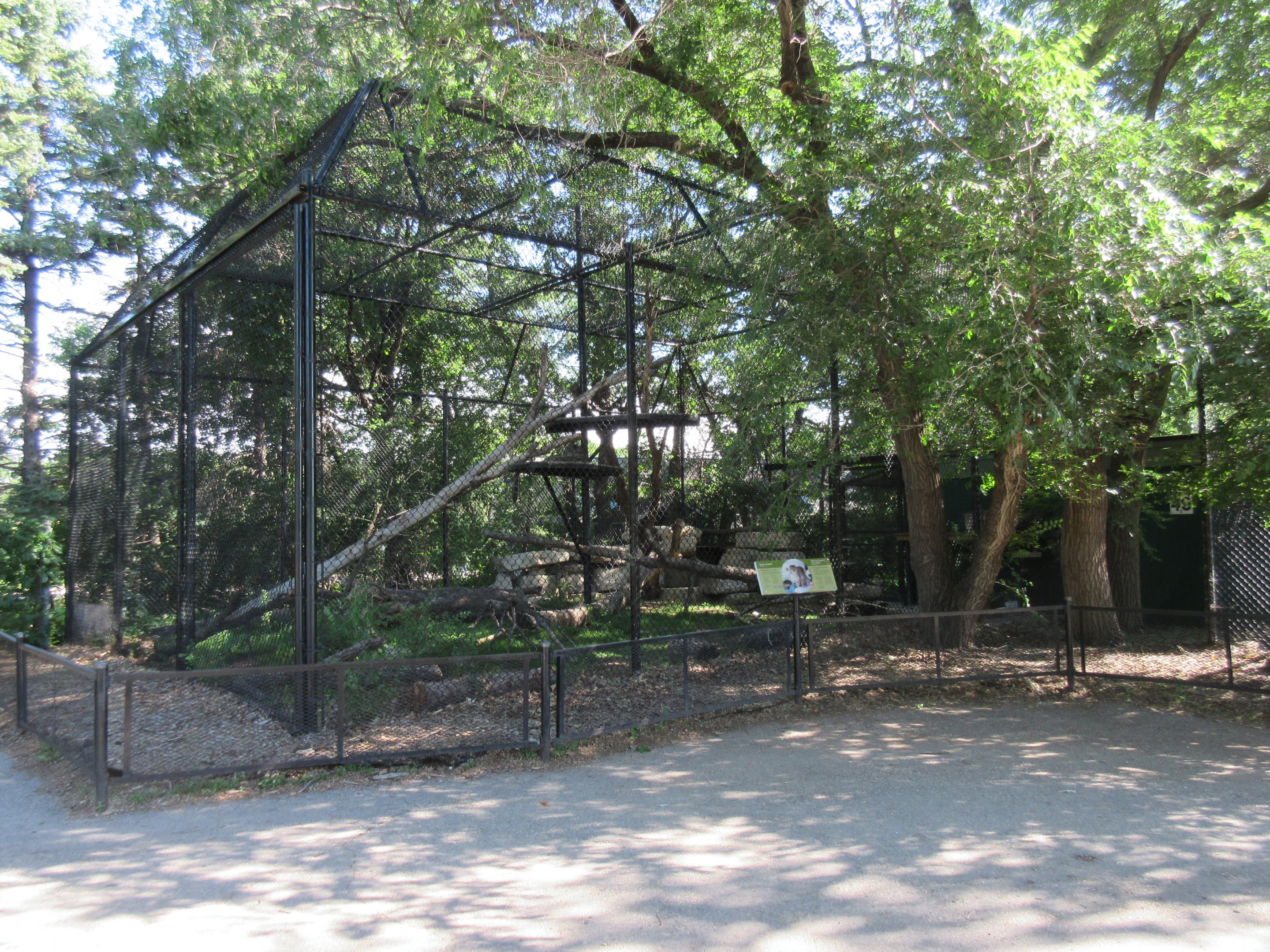 Snow Leopard Complex (a set of 3 exhibits)