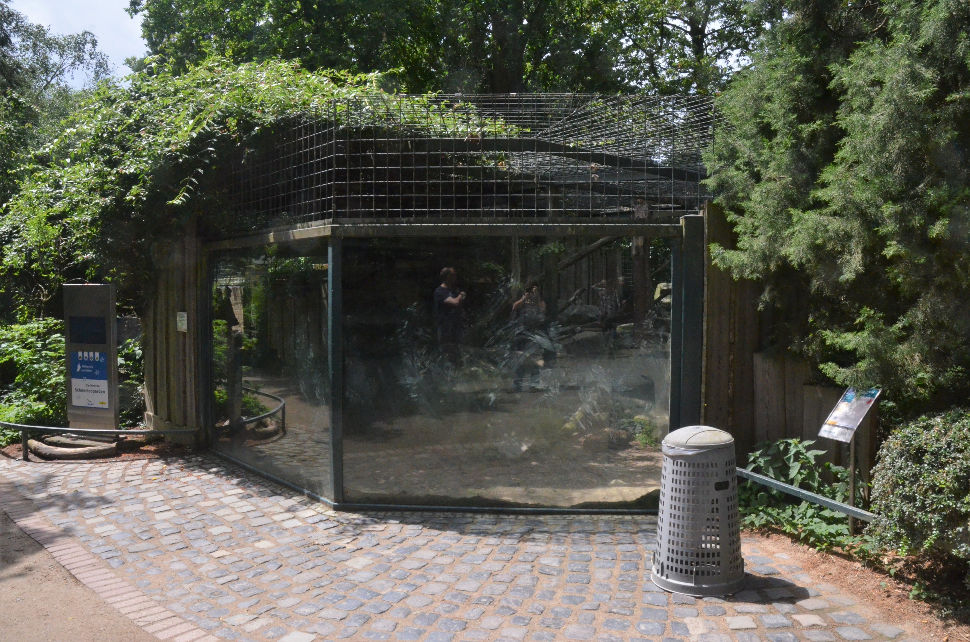 Snow Leopard Complex at Krefeld, 15/06/19