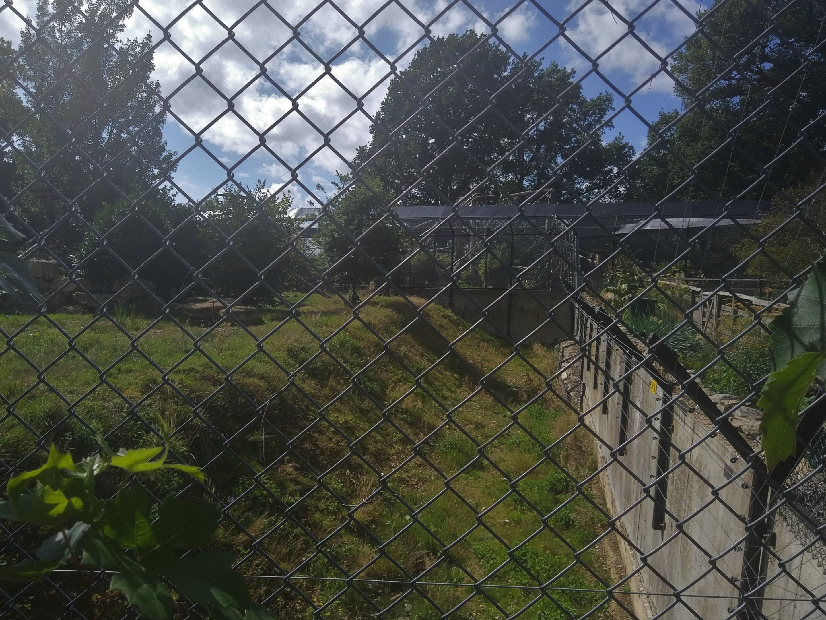 Snow Leopard containment