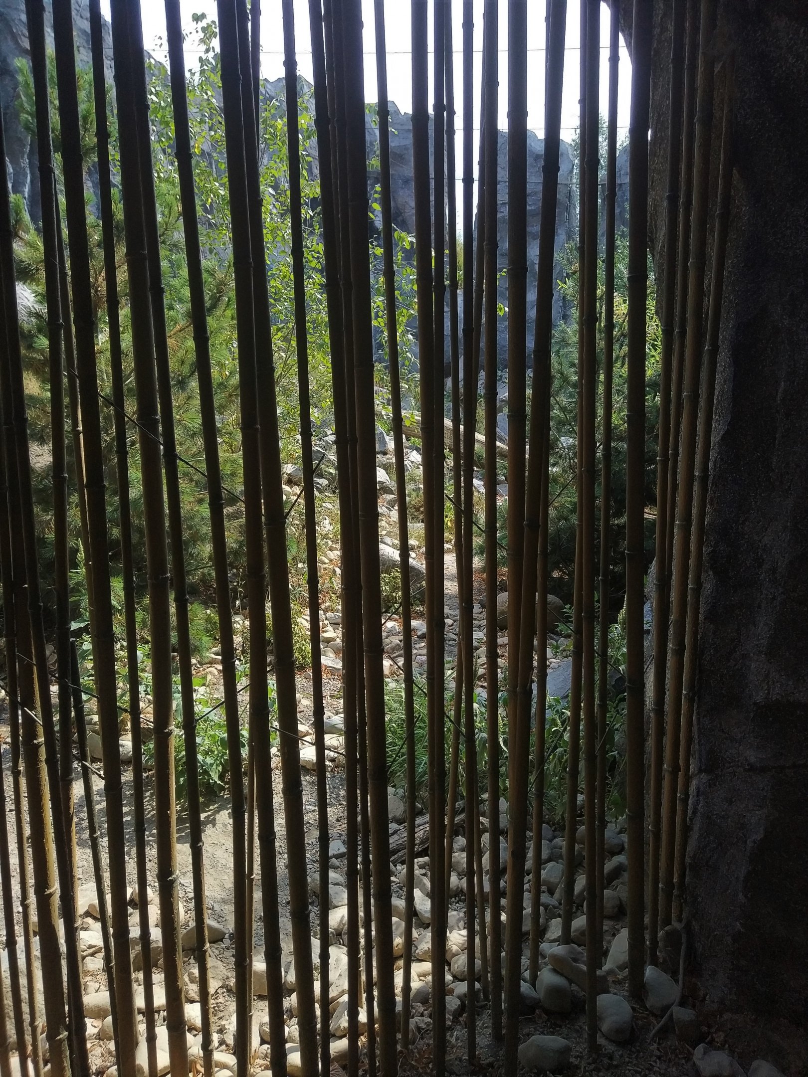 Snow Leopard Containment