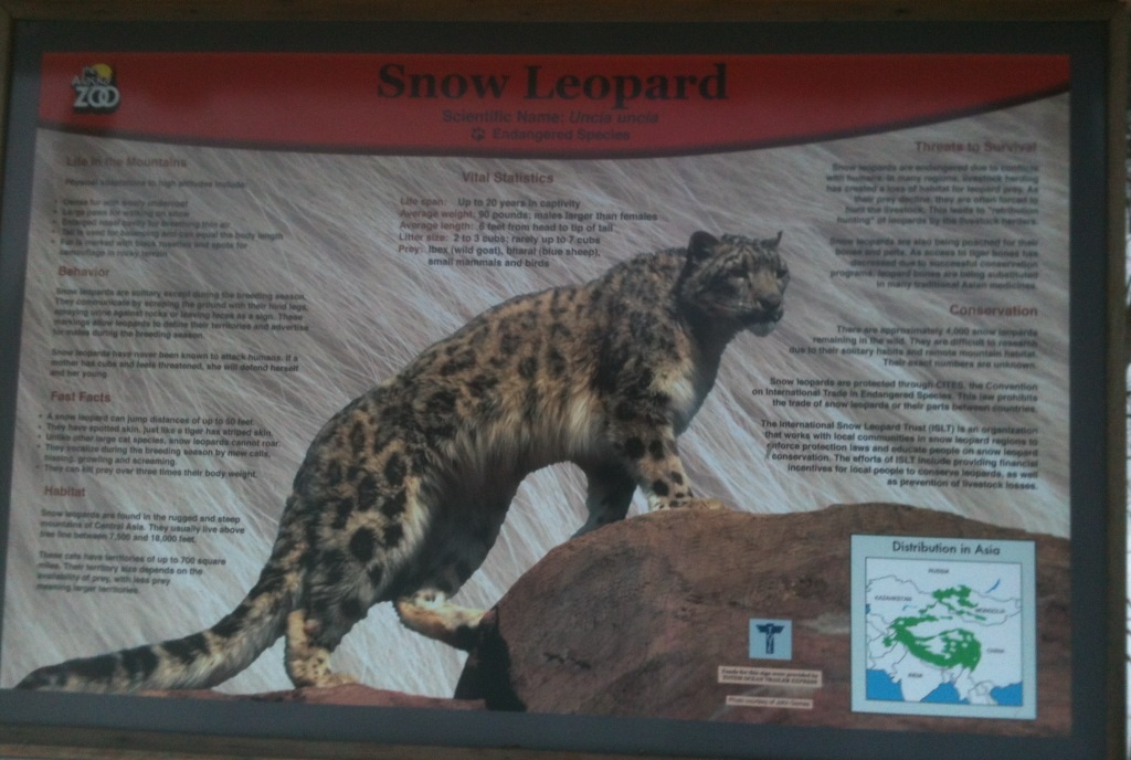 Snow Leopard Educational Sign